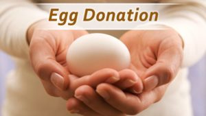 How Much Do You Get For Donating Eggs